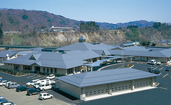 Shingle metal roof